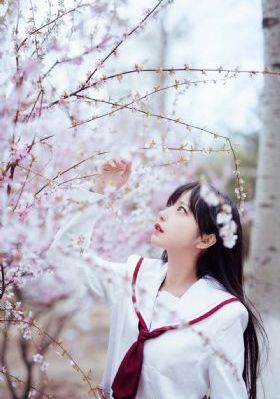 不能说的秘密电影